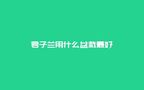 君子兰用什么盆栽最好