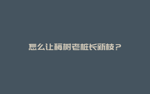 怎么让梅树老桩长新枝？