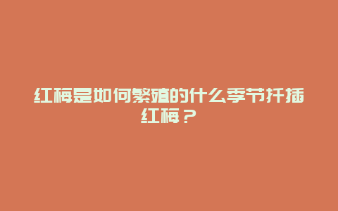 红梅是如何繁殖的什么季节扦插红梅？