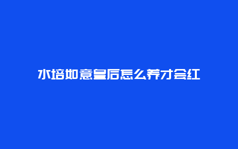 水培如意皇后怎么养才会红