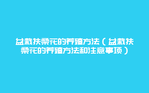 盆栽扶桑花的养殖方法（盆栽扶桑花的养殖方法和注意事项）