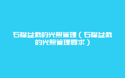 石榴盆栽的光照管理（石榴盆栽的光照管理要求）