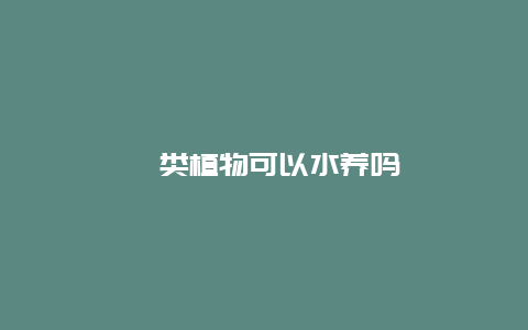 蕨类植物可以水养吗