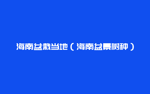 海南盆栽当地（海南盆景树种）