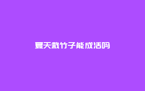 夏天栽竹子能成活吗