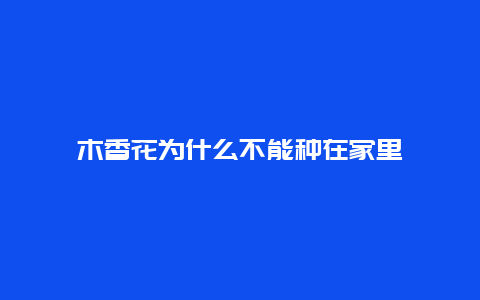 木香花为什么不能种在家里