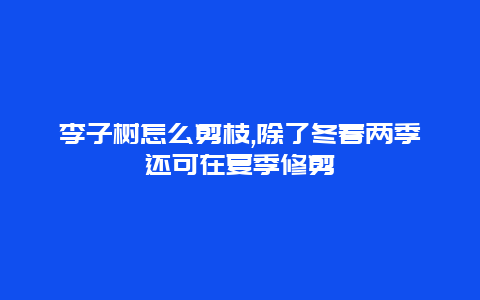 李子树怎么剪枝,除了冬春两季还可在夏季修剪