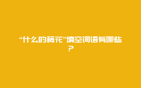 “什么的梅花”填空词语有哪些？