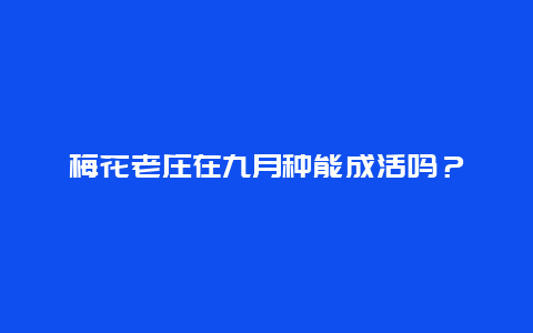 梅花老庄在九月种能成活吗？