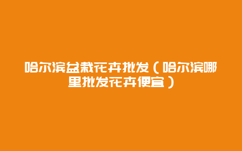 哈尔滨盆栽花卉批发（哈尔滨哪里批发花卉便宜）