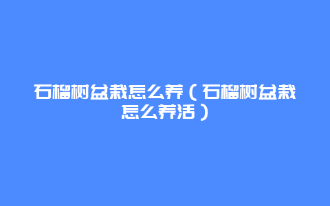 石榴树盆栽怎么养（石榴树盆栽怎么养活）