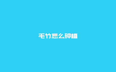 毛竹怎么种植