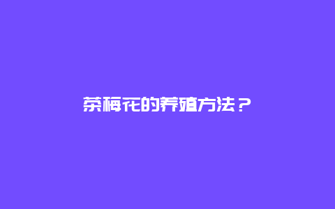 茶梅花的养殖方法？