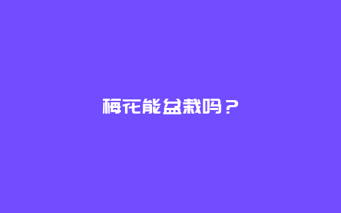 梅花能盆栽吗？