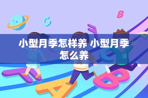 小型月季怎样养 小型月季怎么养插图