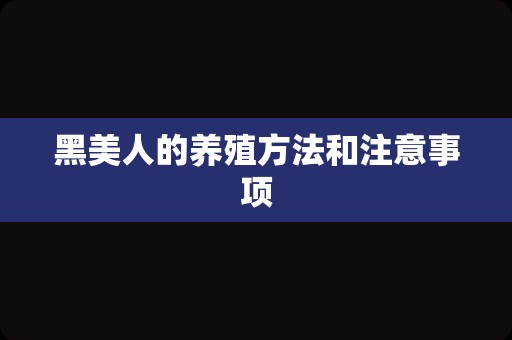 黑美人的养殖方法和注意事项