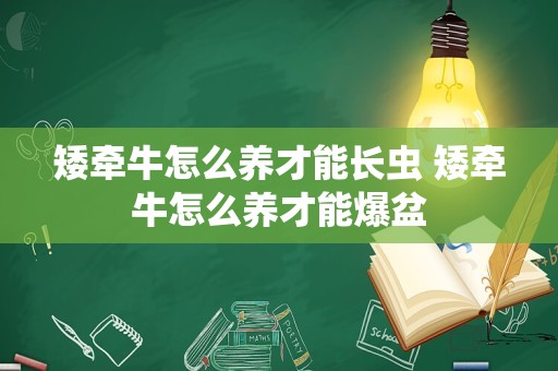 矮牵牛怎么养才能长虫 矮牵牛怎么养才能爆盆