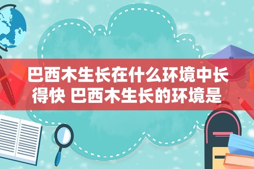 巴西木生长在什么环境中长得快 巴西木生长的环境是怎么样的