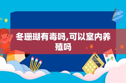 冬珊瑚有毒吗,可以室内养殖吗